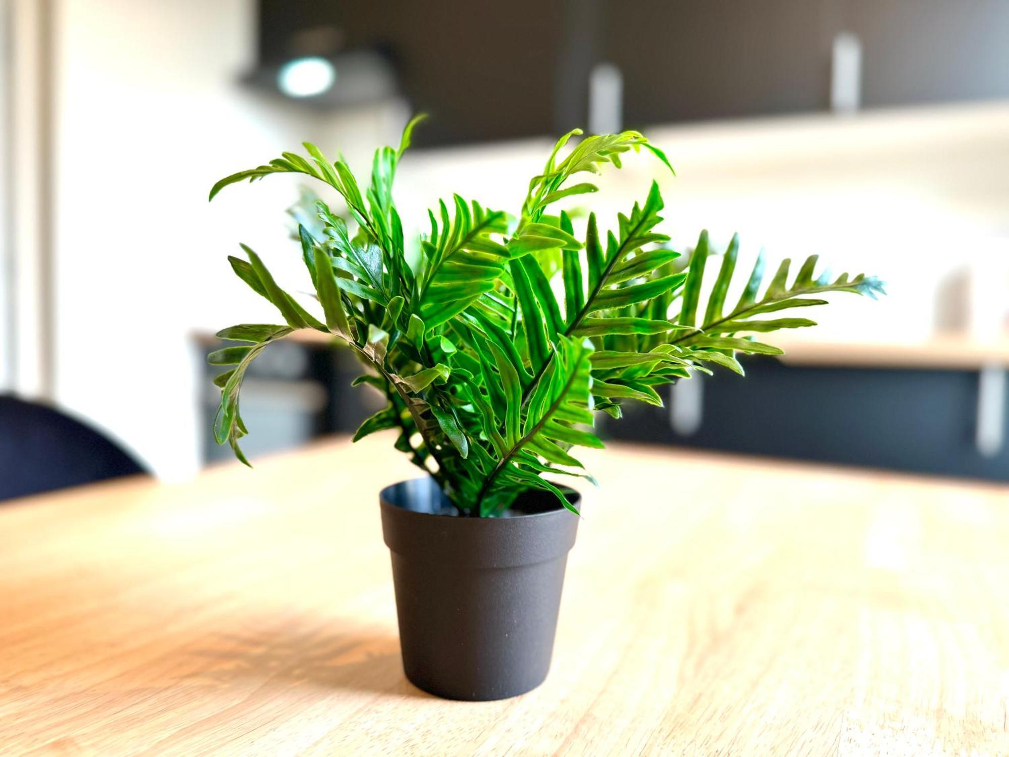 Appartements A Lorient - Tout Confort - Internet Fibre - Nouveau 외부 사진